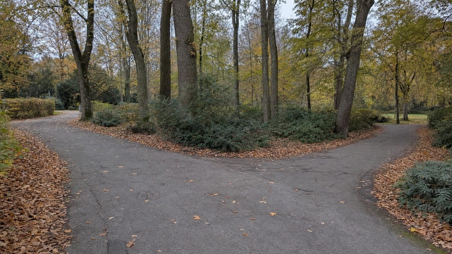 Beitragsbild Google Ads oder SEO: Was lohnt sich für KMU aus Hannover?